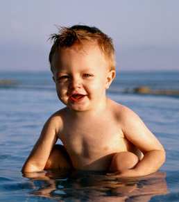 ������һǧ���ƻ������ɣ�ͼ��