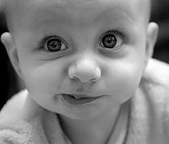 ��ˣ���ӱ����Թ����ɣ�ͼ��