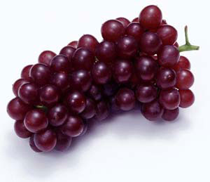 ���Ѹβ��ö�����ѣ�ͼ��