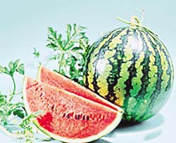 �������ձ�������ҪС�ģ�ͼ��