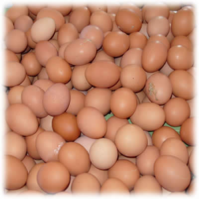 这六种鸡蛋千万不能吃(图)