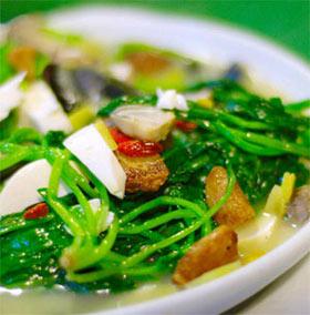 ������ʵ�����ǲ�Ѫ��Ʒ��ͼ��