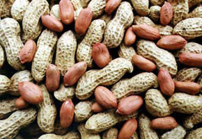 ����Ҫ����Ƥһ��ԣ�ͼ�� 